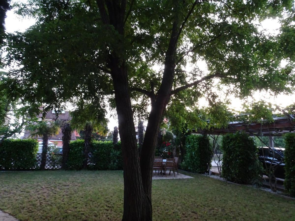Apartments Zvezdica*** With Garden Zambratija  Extérieur photo